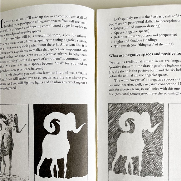 The New Drawing on the Right Side of the Brain: A Course in Enhancing Creativity - Picture 6 of 12